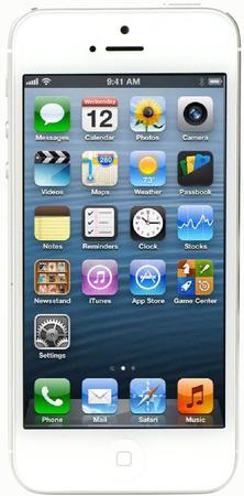 Смартфон Apple iPhone 5 64Gb White & Silver - Елабуга